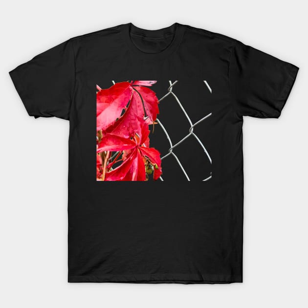 Red leaves on a metal grid T-Shirt by Evgeniya